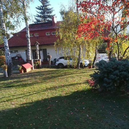 Villa Blanka Horní Podkozí Kültér fotó