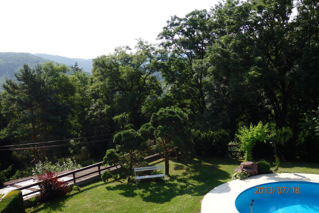 Villa Blanka Horní Podkozí Kültér fotó