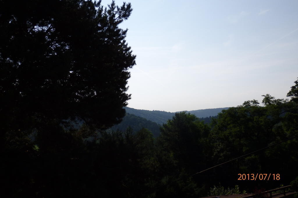 Villa Blanka Horní Podkozí Kültér fotó