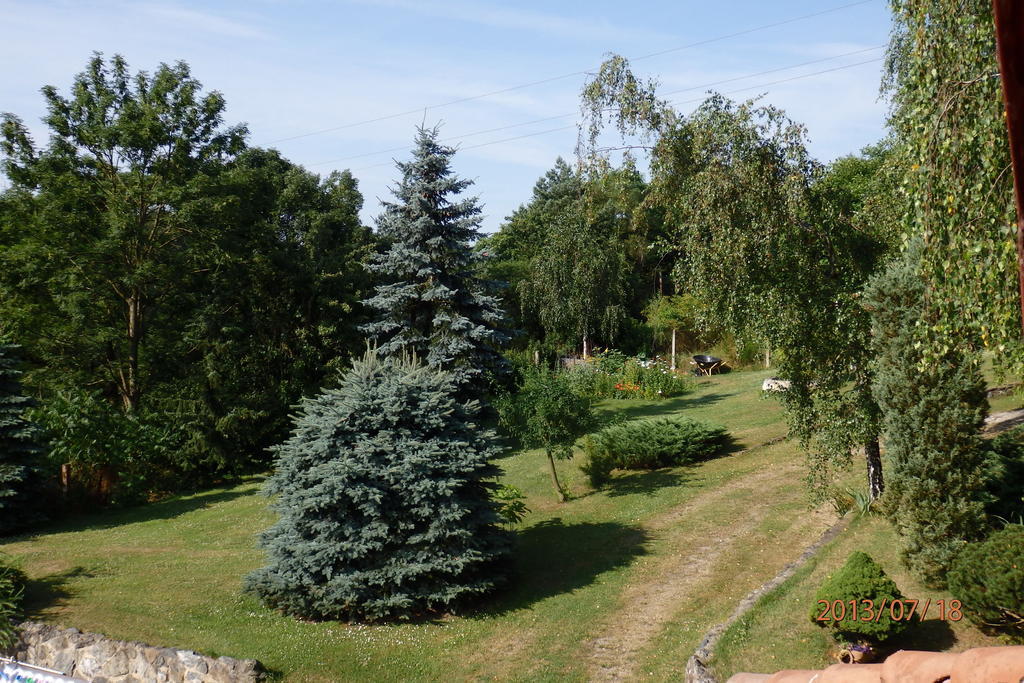 Villa Blanka Horní Podkozí Kültér fotó