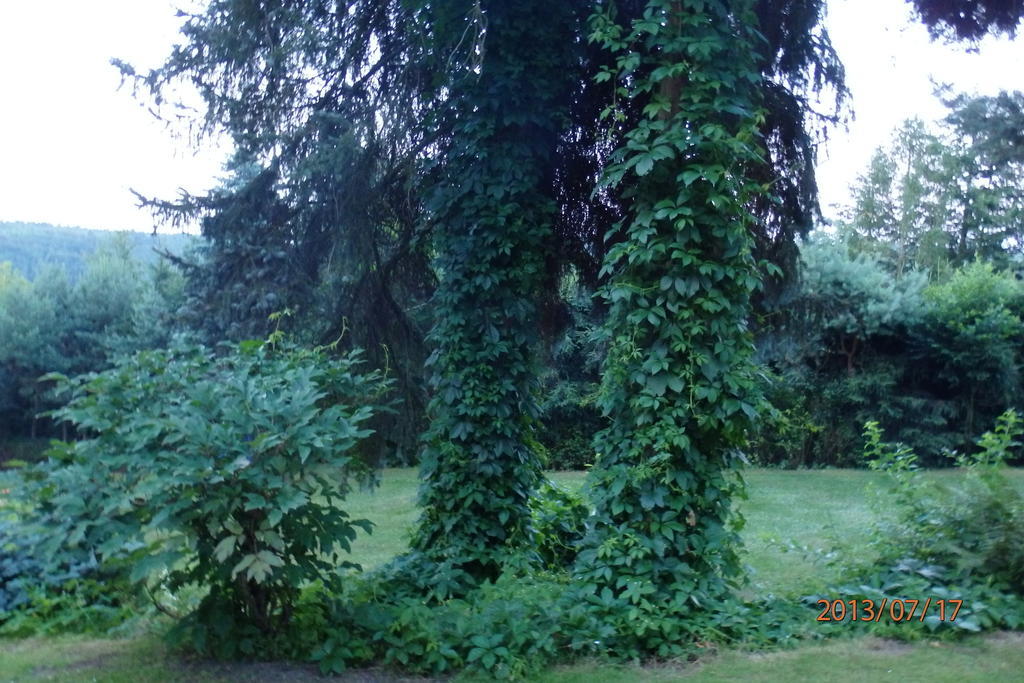 Villa Blanka Horní Podkozí Kültér fotó
