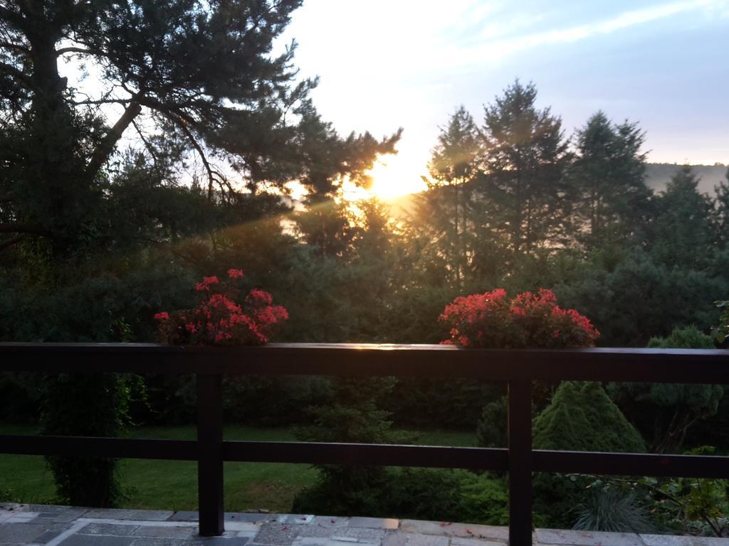 Villa Blanka Horní Podkozí Kültér fotó
