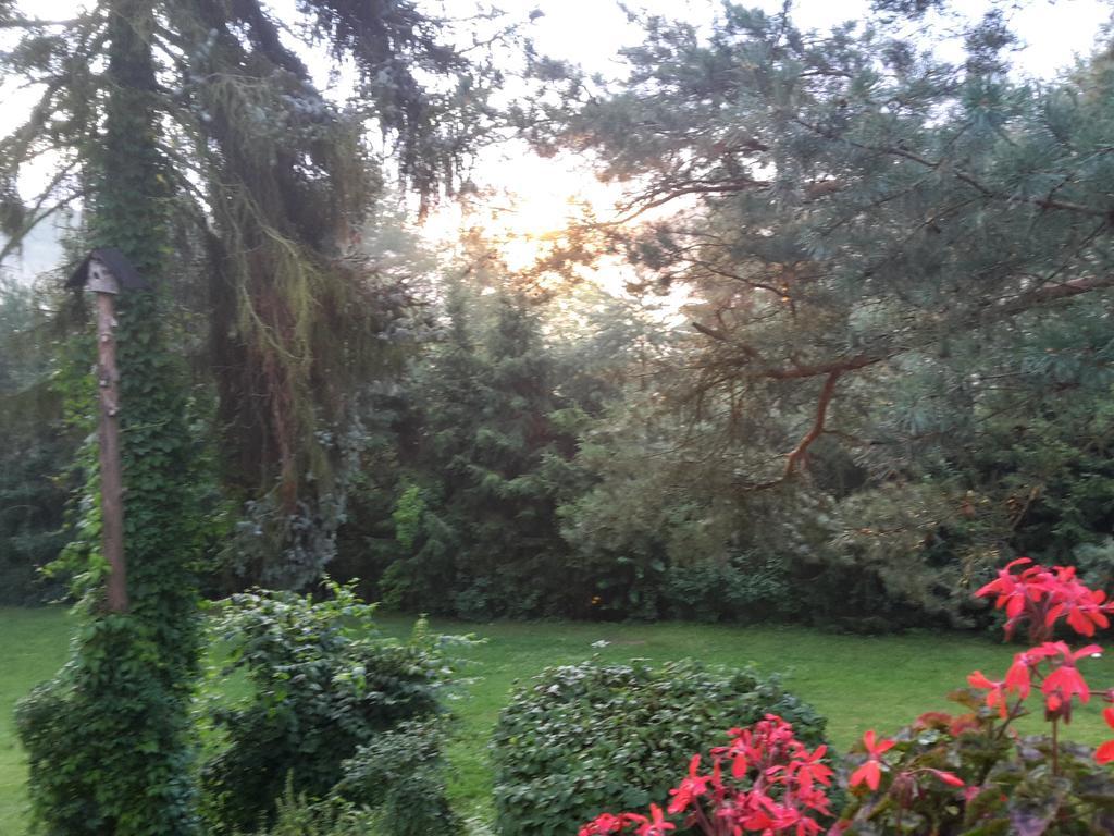 Villa Blanka Horní Podkozí Kültér fotó