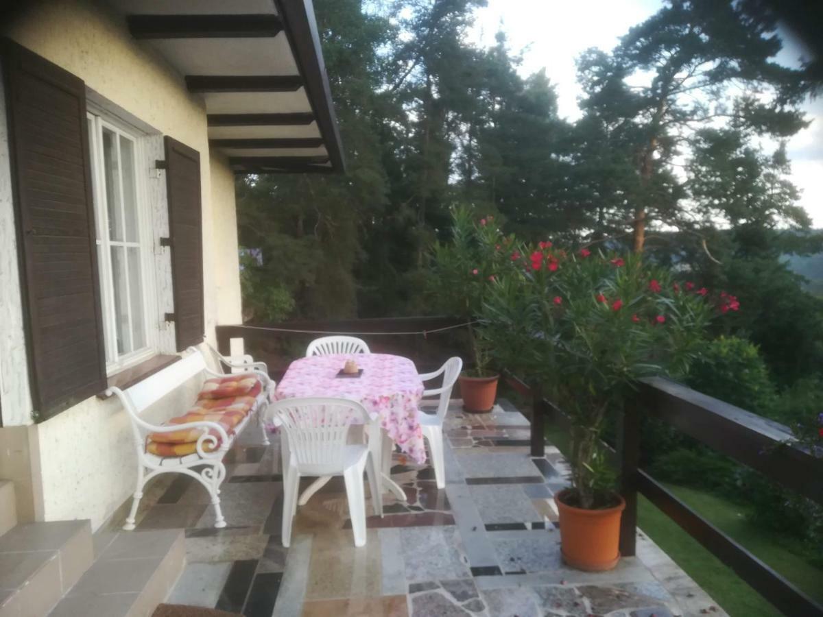 Villa Blanka Horní Podkozí Kültér fotó